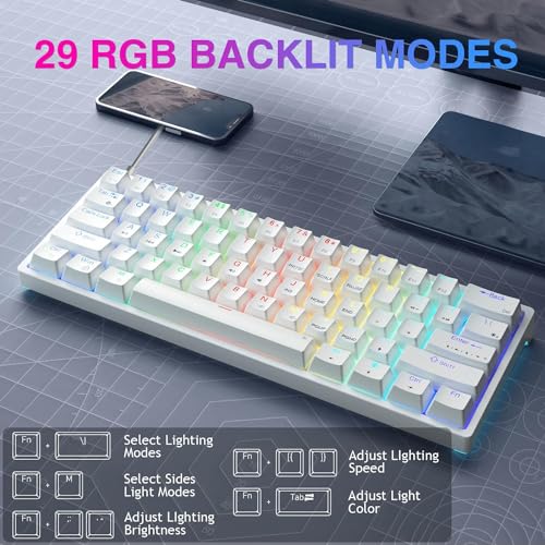 AULA 60 Percent White Mechanical Gaming Keyboard, 29 RGB Backlit Custom Hot Swappable Keyboards, Red Switch 60% Mini Small Wired Compact Design for PC/Mac/Laptop/Wins(Wired Version)