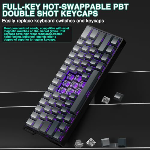 Aula WIN60 HE - 60% Mechanical Gaming Keyboard Wired, Hall Effect Magnetic Switch Hot Swappable,8000 Hz Polling Rate, RGB Keyboard 60 Percent Compact Design for PC (Gradient Gray) - color: Gradient Gray
