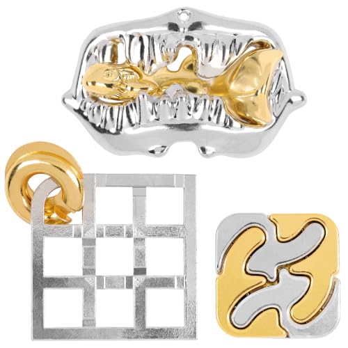 3 PCS Metal Brain Teaser Puzzles Set for Present Gift | Bling Musae Vintage Metal 3D IQ Game, Challenging Disentanglement Logic Puzzles, Family Party for 15+ Adults WP12MX1 - color: Metallic Color(combination 8)