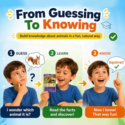 Quokka Who Guess It Better Animals Volume 2 – Educational Game with Visual Clues, Animal Discovery Card Set, 50 Cards, Screen-Free Travel Game for Kids Ages 6+ - color: Animals 2