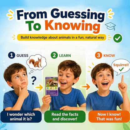 Quokka Who Guess It Better Animals Volume 2 – Educational Game with Visual Clues, Animal Discovery Card Set, 50 Cards, Screen-Free Travel Game for Kids Ages 6+ - color: Animals 2