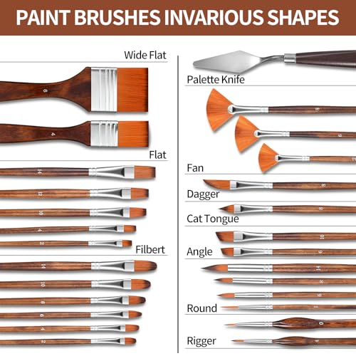 GETHPEN 29pcs Paint Brush Set, Acrylic Paint Brushes, Oil, Watercolor | Paint Brush 9 Shapes with Wide Flat, Filbert, Fan, Dagger, Cat Tongue, Round, Angle, Rigger with Palette Knife & Canvas Roll - style: Assorted Shapes