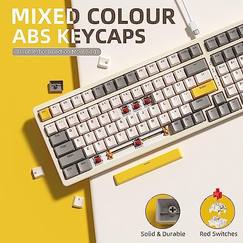 Ajazz Mechanical Gaming Keyboard,Hot Swappable Mechanical Keyboard with Numeric Pad,Compact USB Wired Keyboard 100 Keys Double-Shot ABS Keycaps,N-Key Rollover RGB Custom Keyboard for PC Mac(MX Red) - color: Cheese/Hot-swap Red Switch
