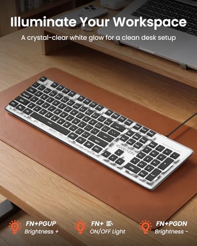 SEUNKWANG Wired Backlit Keyboard with Pudding Keycaps, Quiet Full Size Computer Keyboard White Backlight Easy-to-Read, Never Fade, Metal Panel, USB Cute Desk Setup for Windows PC Desktop, Black - color: Black-white