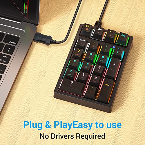 Number Pad, Mechanical USB Wired Numeric Keypad with RGB LED Backlit 21 Key Numpad,Mechanical Numeric Keypad for Laptop Desktop Computer PC Blue Switch - color: Classic Black