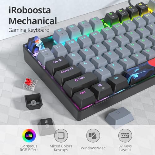75% Mechanical Gaming Keyboard with Red Switch, RGB LED Backlit Keyboard Grey, 87 Keys Compact TKL Wired Computer Keyboard for Windows Laptop PC Gamer (87 Dolch) - color: 87 Dolch/Red Switch