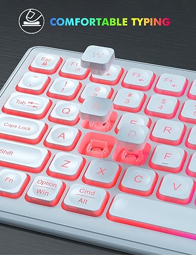 Wireless Keyboard and Mouse - RGB Backlit, Rechargeable & Light Up Letters, Full-Size, Ergonomic Tilt Angle, Sleep Mode, 2.4GHz Quiet Keyboard Mouse for Mac, Windows, Laptop, PC, Trueque(White) - color: White