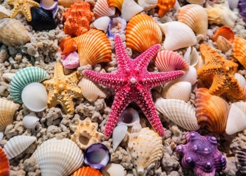 HUADADA Jigsaw Puzzles for Adults 1000 Pieces, Beach Shells Interlock Perfectly Letter on Back No Dust, Home Decor Birthday Party Toy for Men Women Elders Seniors (27.5"x19.6"), 1:1 Poster - color: Beach