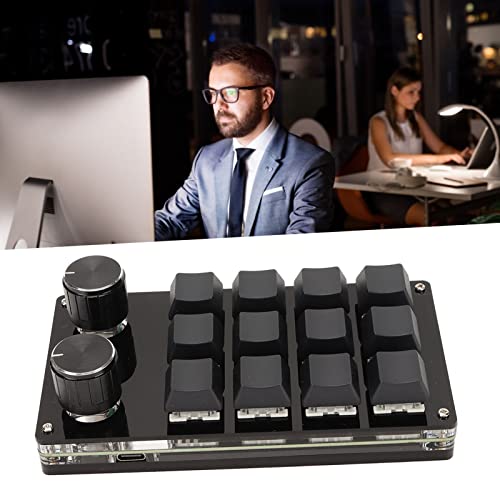 VBESTLIFE One Handed Macro Mechanical Keyboard, 12Keys USB Programmable Keyboard with 2 Knob, Multifunctional Mechanical Gaming Keypad, Blue Switch