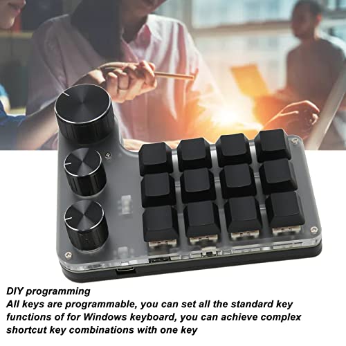 Dilwe 12-Key One-Handed Mechanical Gaming Keyboard - Programmable Macro Keypad with 3 Knobs, Portable Bluetooth USB for Office and Gaming
