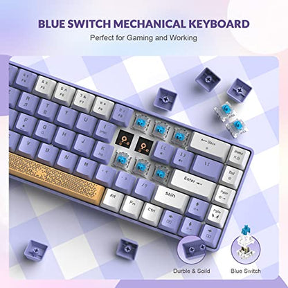 ZIYOU LANG RK-T8 Wired 65% Mechanical RGB Gaming Keyboard-White/Purple | Rainbow Backlit,Anti-ghosting,TKL,Mini 68 Key,Custom Coiled C to A Cable,Tactile Blue Switch for PS4 PS5 Xbox PC Mac Gamer - color: White Purple, size: 65% Keyboard