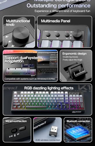 FREEWOLF K100 99 Keys Gaming Membrane Wireless Keyboard with Media Knob,Tri-Mode BT/2.4GHz/USB-C,Side Printed Keys RGB Backlit Retro Cute Creamy Silent Computer Keyboard for MAC PC- Gradient Blue - color: Gradient Blue
