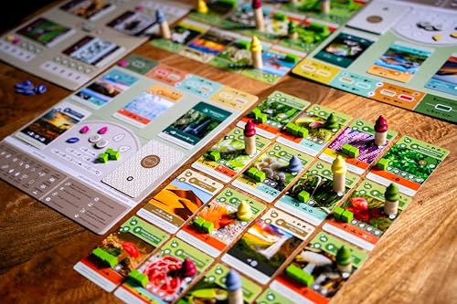 Inside Up Games Bundle: Earth + Earth Abundance Expansion