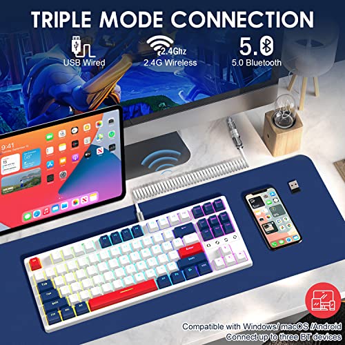 Wireless Gaming Keyboard and Custom Coiled USB C Cable,Triple Mode 2.4GHz/BT 5.0/USB-C,TKL Hot Swappable Mechanical Keyboard Yellow Switches,Rechargeable 3000mAh for PC PS5 PS4 Xbox-2 in 1 Kit - color: Yacht Blue yellow switch