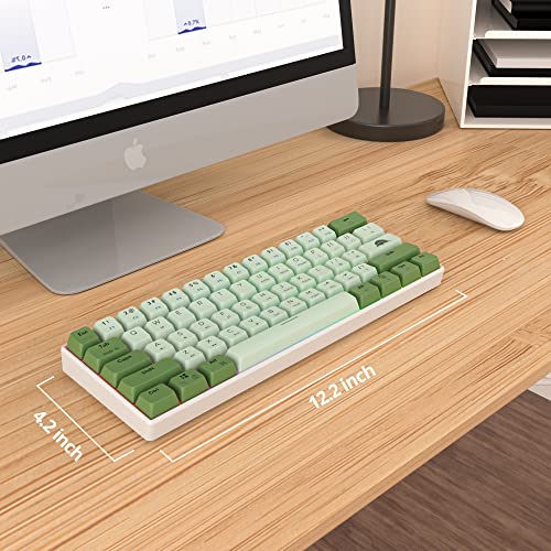 60% Mechanical Keyboard Wired Linear Red Switch RGB Backlight | 60 Percent 61-keys Compact Layout Gaming Keyboard TKL Ultra-Compact Mini RGB Backlit - color: 61 Matcha/Red Switch
