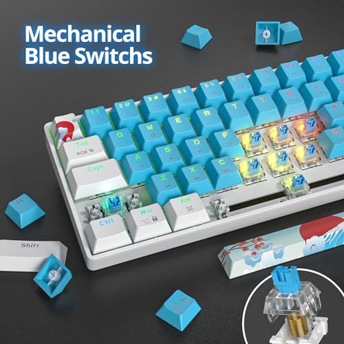 60% Mechanical Keyboard - Compact 60% Gaming Keyboard, RGB Backlit, 61 Keys, USB Wired for Windows Mac Laptop PC (61 Blue/Blue Switches) - color: 61 Blue/Blue Switch