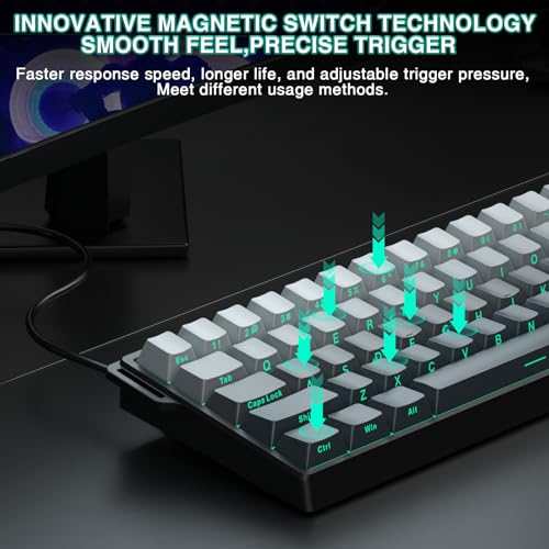 Aula WIN60 HE - 60% Mechanical Gaming Keyboard Wired, Hall Effect Magnetic Switch Hot Swappable,8000 Hz Polling Rate, RGB Keyboard 60 Percent Compact Design for PC (Gradient Gray) - color: Gradient Gray