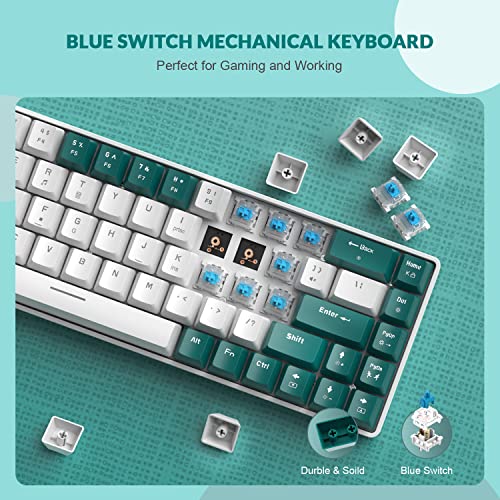 ZIYOU LANG RK-T8 Wired 65% Mechanical RGB Gaming Keyboard-Green/White | Rainbow Backlit,Anti-ghosting,TKL,Mini 68 Key,Custom Coiled C to A Cable,Tactile Blue Switch for PS4 PS5 Xbox PC Mac Gamer - color: Green White, size: 65% Keyboard