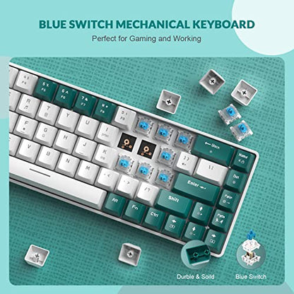 ZIYOU LANG RK-T8 Wired 65% Mechanical RGB Gaming Keyboard-Green/White | Rainbow Backlit,Anti-ghosting,TKL,Mini 68 Key,Custom Coiled C to A Cable,Tactile Blue Switch for PS4 PS5 Xbox PC Mac Gamer - color: Green White, size: 65% Keyboard
