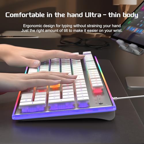 Camiysn Gaming Creamy Keyboard and Mouse, White 104 Keys RGB and 6 Speed RGB Mouse Combo, Pudding Keycaps Silent Computer Keyboard for Computer/PC/Laptop/Mac/Windows/Office - color: White