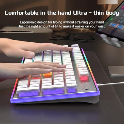 Camiysn Gaming Creamy Keyboard and Mouse, White 104 Keys RGB and 6 Speed RGB Mouse Combo, Pudding Keycaps Silent Computer Keyboard for Computer/PC/Laptop/Mac/Windows/Office - color: White