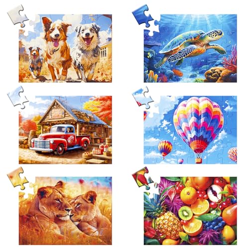 24 Large Piece Puzzle for Seniors 6 Pack Puzzles Dementia Alzheimer's Products and Activities for The Elderly Adults Puzzle Alzheimer's Easy Puzzles Gift Memory Games for Patients, 6 Storage Bag - style: 24 Large Pieces