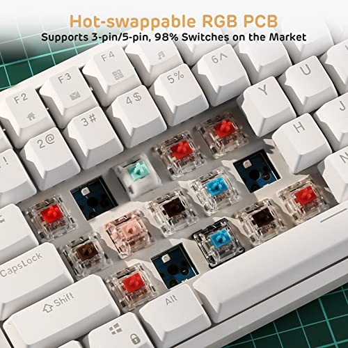 RK ROYAL KLUDGE RK84 Wired RGB 75% Hot Swappable Mechanical Keyboard, 84 Keys Tenkeyless TKL Gaming Keyboard w/Programmable Software, RK Red Switch - color: White, size: Hot Swappable Red Switch
