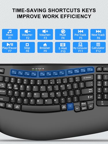 EDJO Wireless Ergonomic Keyboard with Wrist Rest, Wave Keys | Comfortable Natural Typing, Multimedia Hotkeys,2.4GHz,For Large Hands,Windows, Mac, Laptop, PC