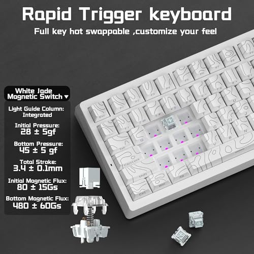 LEOBOG A80 RT Ultra HE Wireless Mechanical Gaming Keyboard 75%, Tri-Mode Hall Effect Rapid Trigger Magnetic Switch Keyboard with 0.01mm Adjustable RT, Hot Swappable RGB Backlit Keyboards for PC Gamers - color: White&Line, size: A80-Wireless