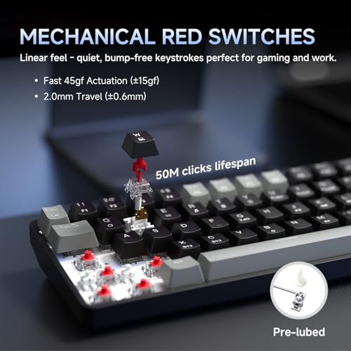 DIERYA DK68 60% Wireless Mechanical Gaming Keyboard, 3-Mode, Bluetooth 5.0/2.4G/USB-C, RGB Backlit, 68-Key Compact Mini for Windows, Mac, Linux - Linear Red Switch - Grey/Black - color: Grey Black/Red Switch