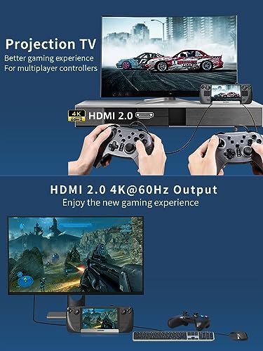 10-in-1 Docking Station for Steam Deck OLED & ROG Ally X & Legion Go & Switch 2, Dual Cooling Fan 5 USB Ports, 4K@60Hz HDMI 2.0, 100W Charging Port Support ROG Ally 30W Mode, Gigabit Ethernet, SD/TF