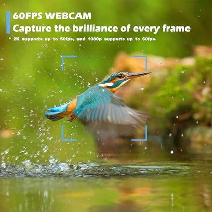 W4 2K Autofocus Webcam with Dual Mics & LED Light | , 1080P 60fps/2K 50fps, USB Streaming Camera for PC, Laptop, Switch 2, Desktop - Plug and Play - color: Black-W4 2K Autofocus