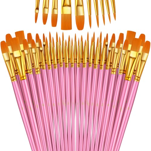 Paint Brushes Set, 5 Pack 50 Pcs Round-Pointed Tip Paintbrushes Nylon Hair Artist Acrylic Paint Brushes for Acrylic Oil Watercolor, Face Nail Art, Miniature Detailing & Rock Painting, Pink - color: Pink, size: 5 Pack