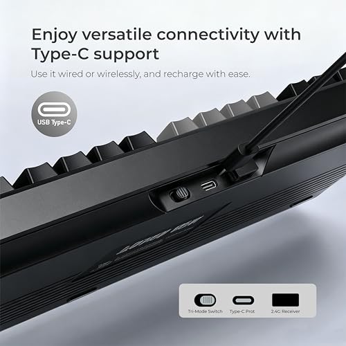 LUMI101 Wireless Mechanical Keyboard,Full-Size Keyboard with Numeric keypad，Tri-Mode BT5.0/2.4GHz/USB-C Hot Swappable Custom Keyboard,RGB Backlit Computer Gaming Keyboards(Grey Mute Switch) - color: Grey Mute Switch