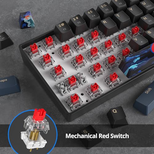 65% Mini Wired Keyboard Backlit for Office Gaming,68 Samurai B | Compact Full N-Key Portable Quiet Linear Red Switch light letters - color: 68 Blue Samurai B/Red Switch