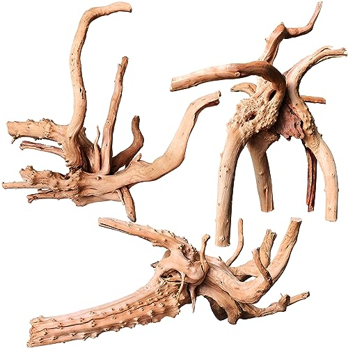 majoywoo Natural Driftwood for Aquarium Decor Fish Tank Decorations, Assorted Spider Wood Branch 7-11" 3 Pcs, Reptile Decor - size: Spiderwood 7 to 11 Inch(Pack of 3)