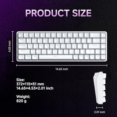 DIERYA DK68 60% Wireless Mechanical Gaming Keyboard, 3-Mode, Bluetooth 5.0/2.4G/USB-C, RGB Backlit, 68-Key Compact Mini for Windows, Mac, Linux - Clicky Blue Switch - White - color: White/Blue Switch, size: Wireless