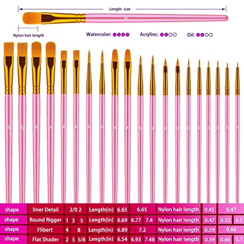Paint Brushes Set, 20 Pcs Paint Brushes for Acrylic Painting, Oil Watercolor Acrylic Paint Brush, Artist Paintbrushes for Body Face Rock Canvas, Adult Drawing Arts Crafts Supplies, Pink - color: Pink