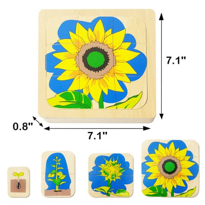 Montessori Wooden Puzzles for Kids Ages 4-8, 4 Layer Life Cycle Of Sunflower Jigsaw Puzzle for Toddlers, Children Preschool Learning Educational Puzzles Summer Toys Gift for Boys and Girls (Sunflower) - style: Sunflower