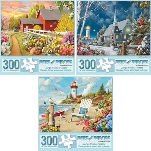 Bits and Pieces 3 Jigsaw Puzzle Set - 300 Piece Puzzles for Adults - Alan Giana Seasons Set - 18" x 24" Jigsaw Puzzles - Spring Winter Beach - Random Die Cut Pieces No 2 are Alike - size: 18" x 24" - Three 300 Piece Puzzles