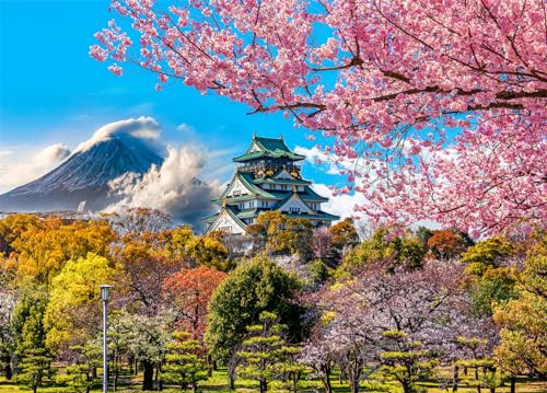 HUADADA 1000 Piece Puzzles for Adults - Cherry Blossoms in Osaka Castle, Japan - Jigsaw Puzzles for Adults 1000 Piece Educational Games Colorful Puzzles for Home Decoration - color: Osaka Castle