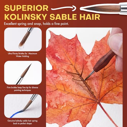 Golden Maple Kolinsky Sable Miniature Brushes Set - 4 Replaceable Heads & Red Sandalwood Handle for Miniature Models, Professional Detail Painting, Watercolor & Acrylic, Size 3/0 2/0 0 1 - size: 3/0 2/0 0 1