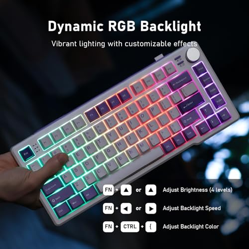 iRocks K103R Wireless Rechargeable RGB 75% Mechanical Gaming Keyboard, Hot Swappable Pre-lubed Switches, 81 PBT Keys, Gasket Mount, USB-C Detachable Cable (Lavender Purple, Bubble Switch) - color: Lavender Purple, size: Bubble Switch