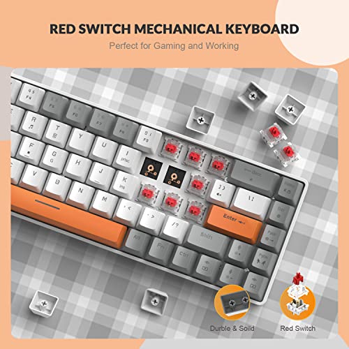 ZIYOU LANG 65% Wired RGB TKL Portable Mechanical Gaming Keyboard Light Gray Red Switch with Coiled Cable and White Cloud Wrist Rest for PC Mac Gamer
