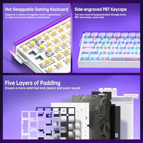 x AULA HERO 68 HE 60% Gaming Keyboard Wired, Hall Effect Mechanical Keyboard Mini with Adjustable Actuation, Rapid Trigger Mode, 8K Hz Polling Rate,0.125ms Latency,Side Printed PBT Keycaps,RGB Backlit - color: Purple
