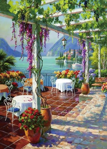 Puzzle for Adults 1000 Pieces,Wisteria View Patio Jigsaw Puzzle | Lakeside Terrace Puzzle with Poster, Storage Bag,Home Decor, 27.5" x 19.6" - color: Plant Terrace 1000 Pieces