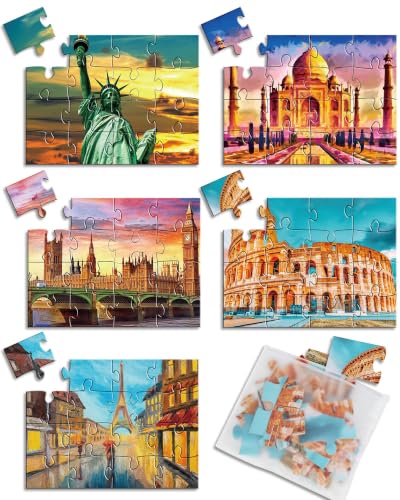 5 Packs 16 Piece Large Jigsaw Dementia Puzzles for Alzheimer’s Products Activities, Alzheimer's Puzzles Easy Memory Cognitive Games for Adults Gift with 5 Storage Bags, Construction - style: Construction