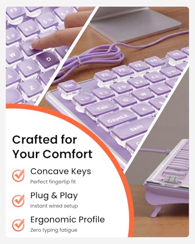 SEUNKWANG Wired Backlit Keyboard with Pudding Keycaps, Quiet Full Size Computer Keyboard White Backlight Easy-to-Read, Never Fade, Metal Panel, USB Cute Desk Setup for Windows PC Desktop, Purple - color: Purple