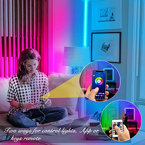 DAYBETTER LED Strip Lights 100ft RGB Lights Strip for Bedroom, Desk, Indoor Room Living Room Brithday Gifts Home Decor with Remote, 24V Power Supply - size: 100FT