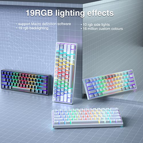 SK961 60% Wireless Gaming Keyboard with Triple Mode BT5.0/2.4GHz/USB-C Wired,RGB Backlight 61 Keys Wireless 60% Keyboard Hot Swappable Mechanical Keyboard,Red Switch - color: SK961-greywhite-redswitch